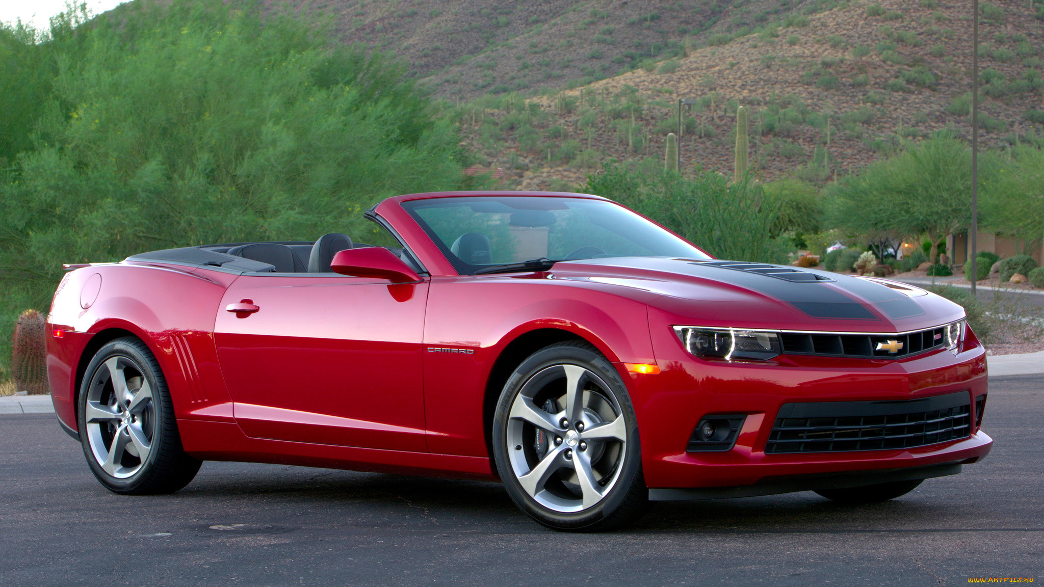 chevrolet, camaro, , , , , gm, division, 